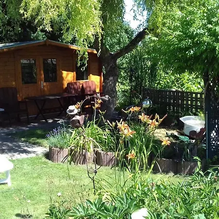 2 In 1 Gartenhaus Zur Grunen Auss Pettendorf (Schwandorf)
