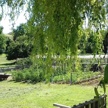 2 In 1 Gartenhaus Zur Grunen Auss * Pettendorf (Schwandorf)